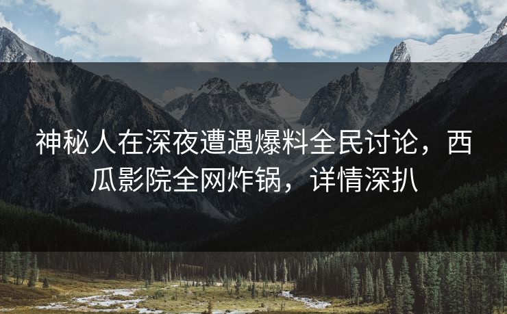 神秘人在深夜遭遇爆料全民讨论,西瓜影院全网炸锅,详情深扒 神秘人在深夜遭遇爆料全民讨论,西瓜影院全网炸锅,详情深扒